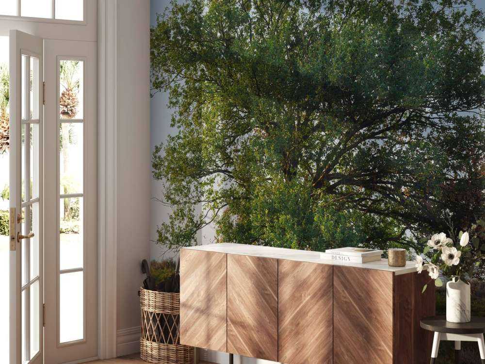 Albero solitario sulla brughiera