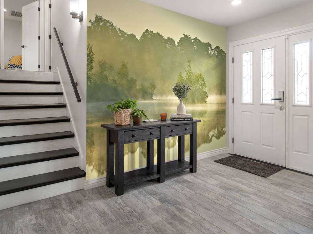 Nebulosa sopra un lago forestale