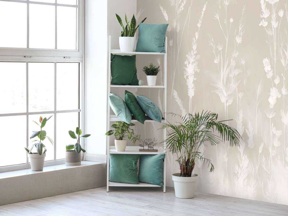 Lavanda Radura Senza Giunzioni Sabbia Beige