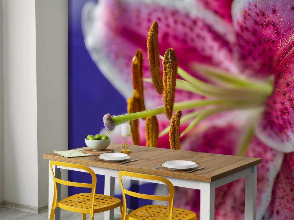 Fiore rosa ravvicinato