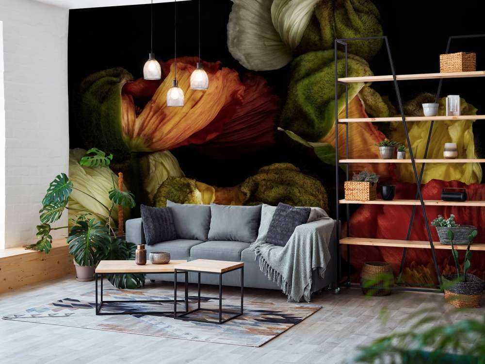 Papaveri ravvicinati