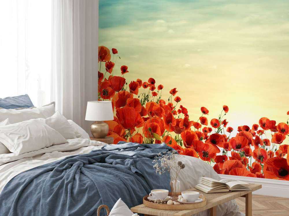 Papaveri con tramonto