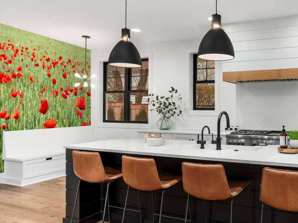 Campo di papaveri rossi