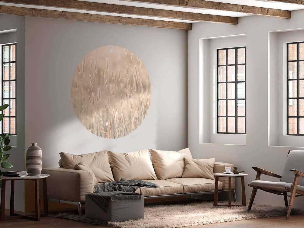 Prato durante il tramonto