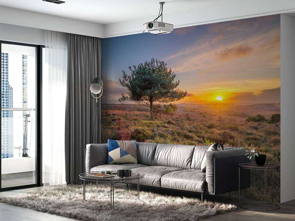 Tramonto sulla brughiera