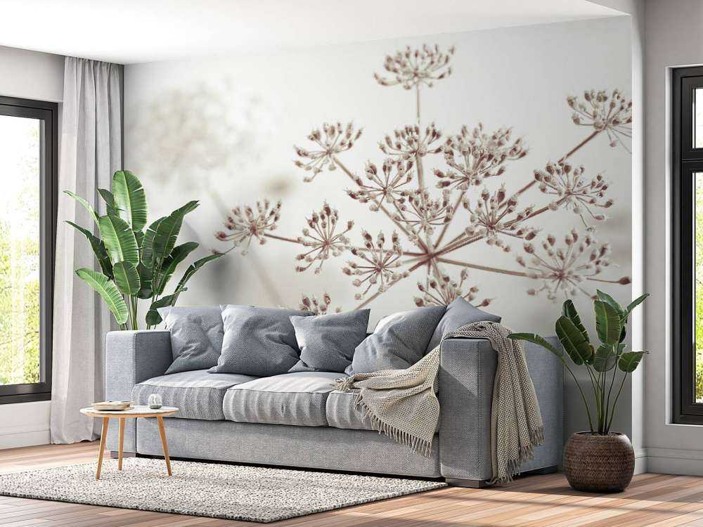 Prezzemolo di mucca ravvicinato