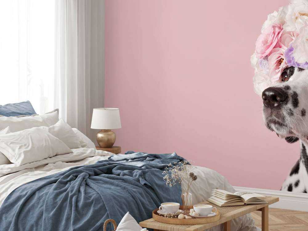 Dalmata con fiori colorati