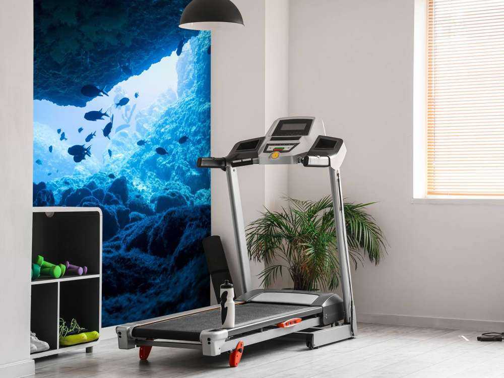 Grotta stretta con pesce