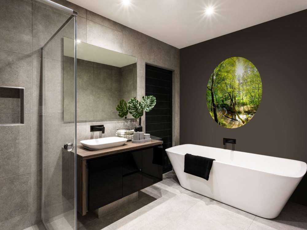 Foresta con un ruscello