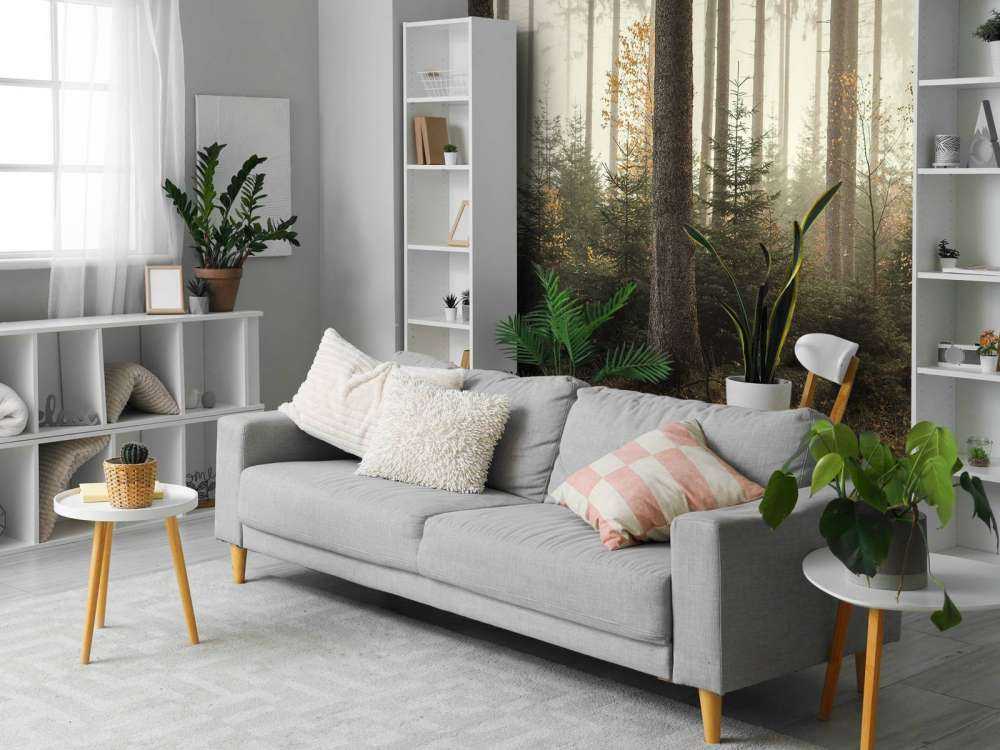 La foresta di Kaufunger