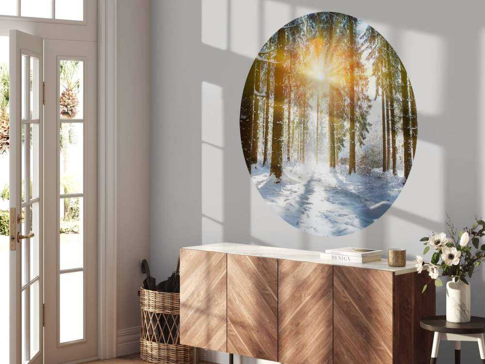 Luce del sole nella foresta d'inverno