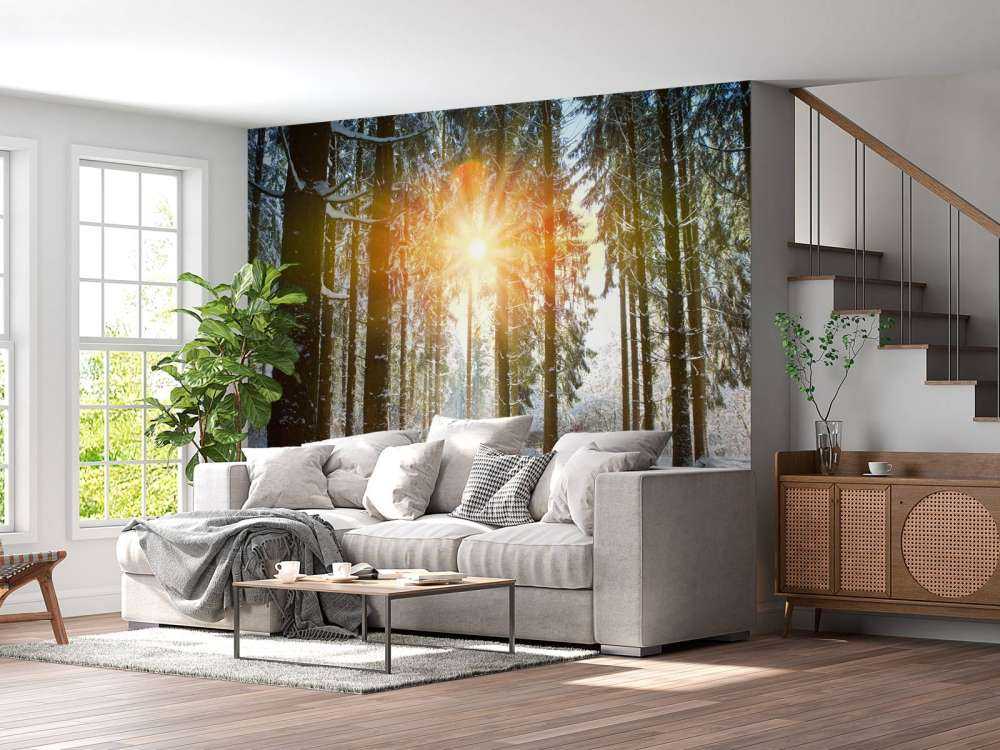 Luce del sole nella foresta d'inverno