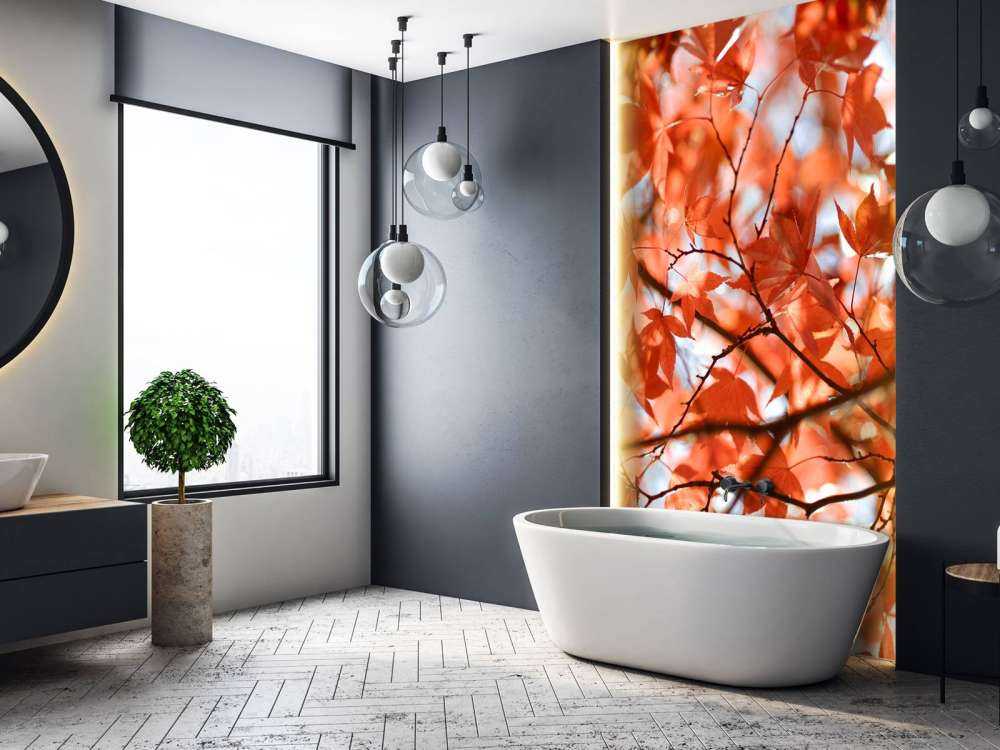 Foglie autunnali colorate