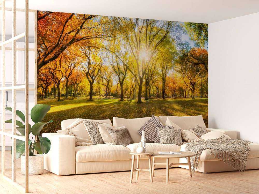 Foresta autunnale colorata