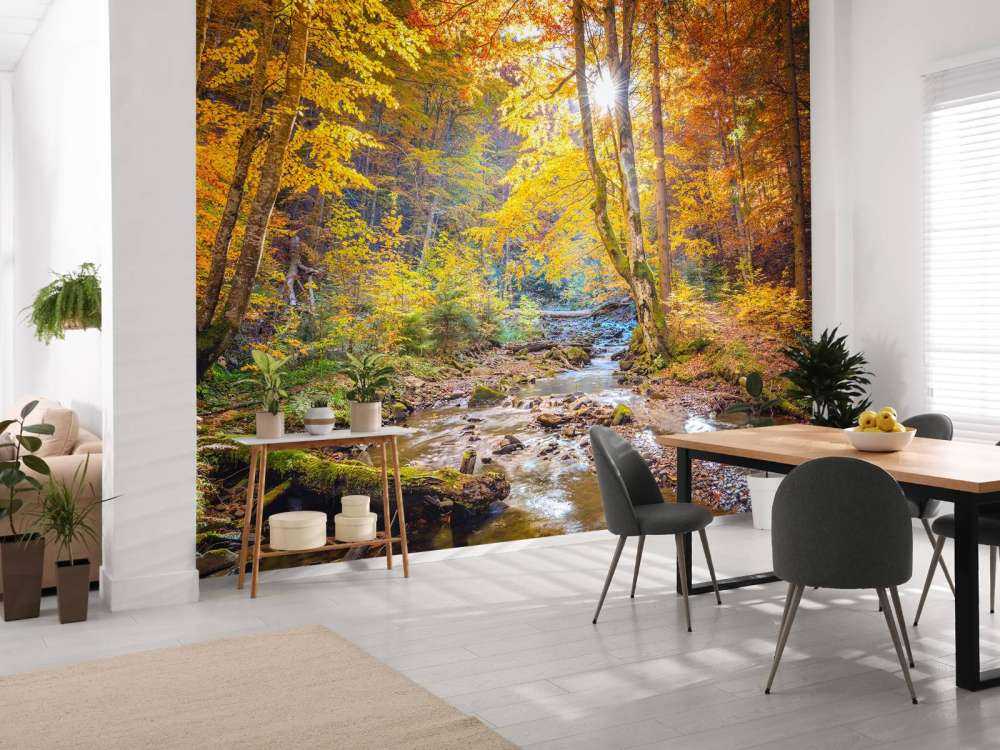 Autunno nella foresta selvaggia