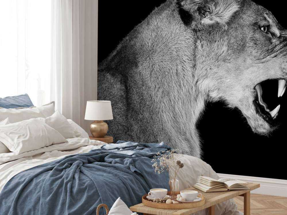 Vista laterale leonessa nera