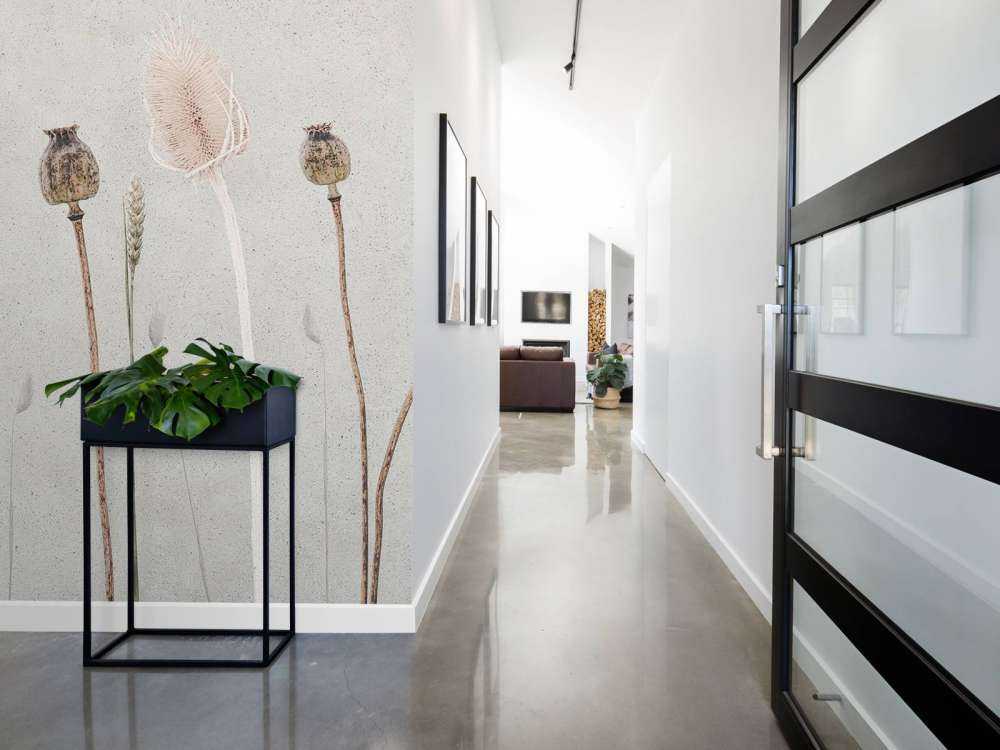 Pace di campo Texture