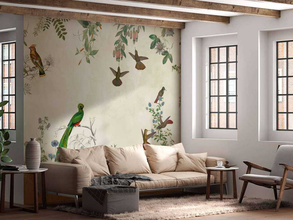 Campi di Uccelli Colorati