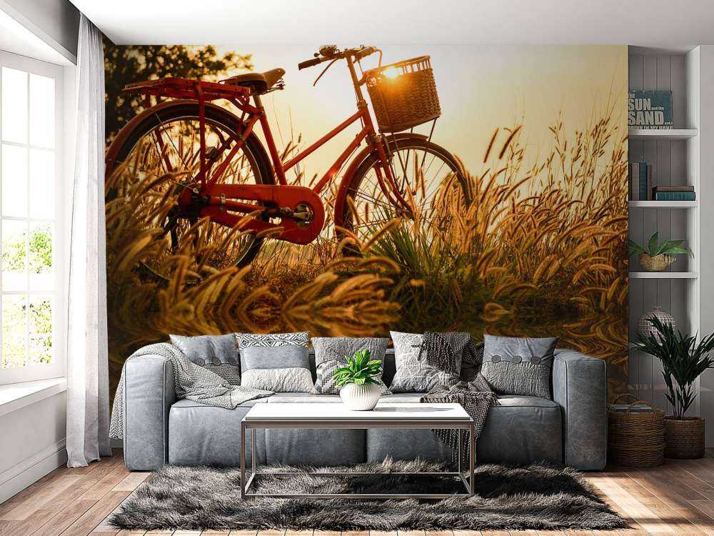 Bicicletta al tramonto