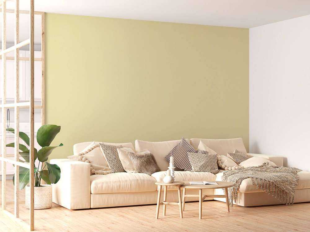 Giallo limone chiffon cemento