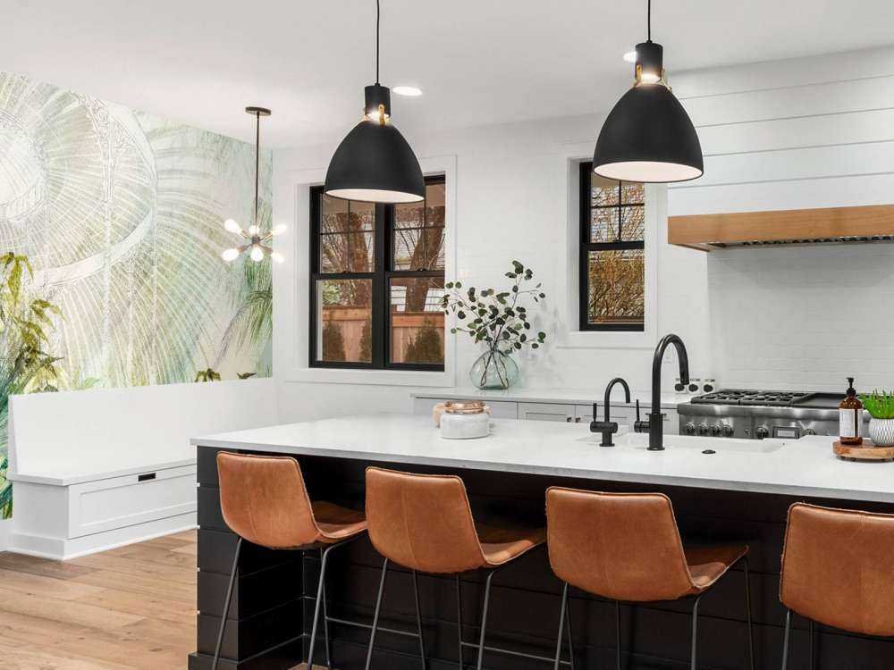 Serra con piante tropicali