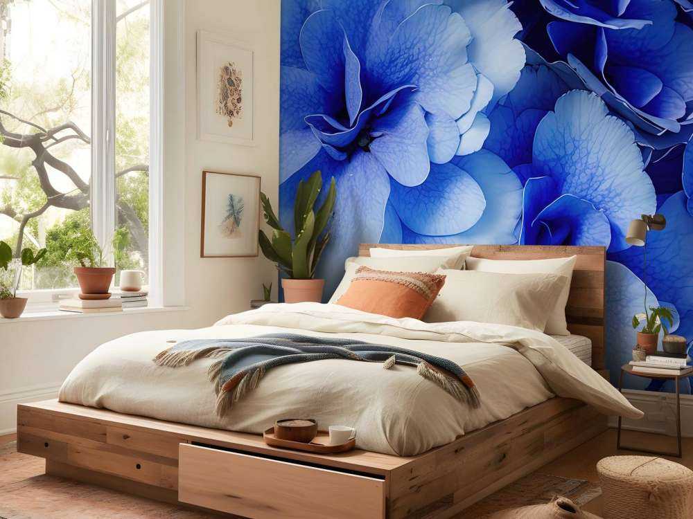 Ortensia in prima linea