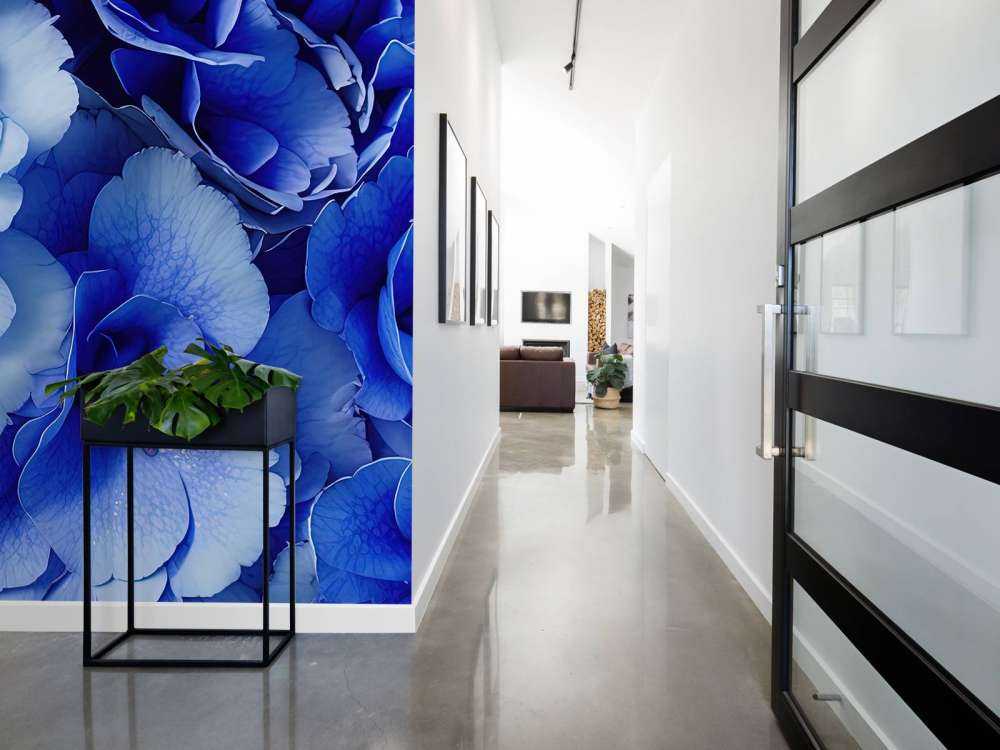 Ortensia in prima linea