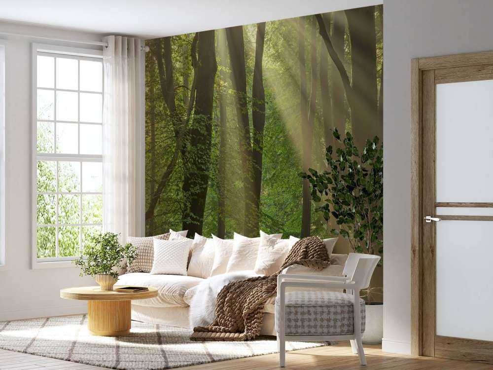 Arpe del sole nella foresta