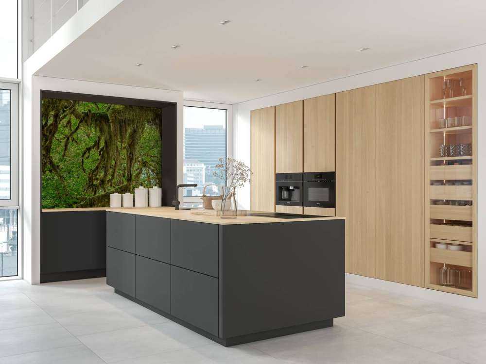 Muschio sui rami degli alberi