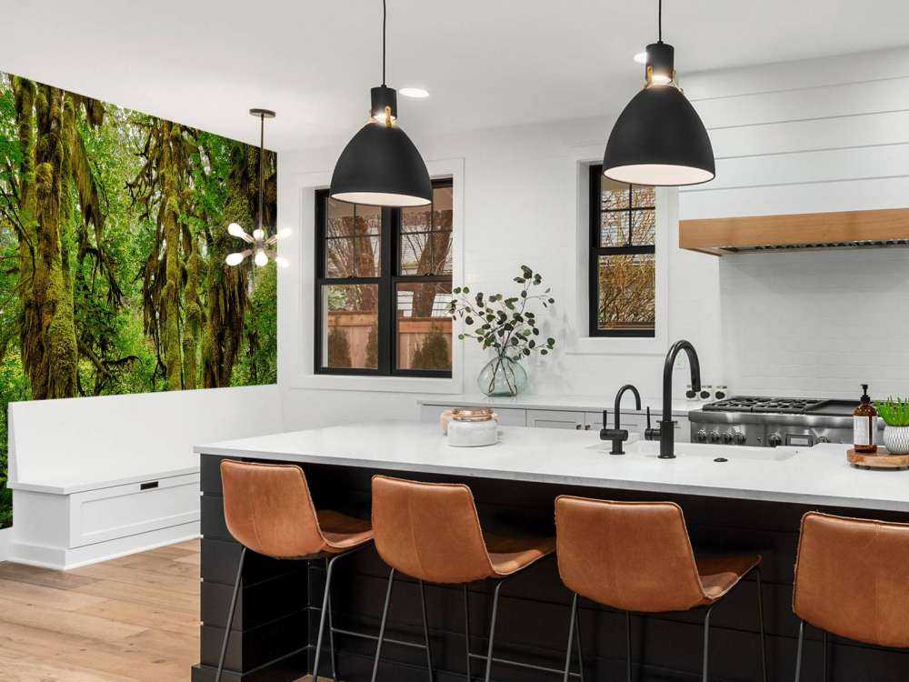 Vecchia foresta selvaggia