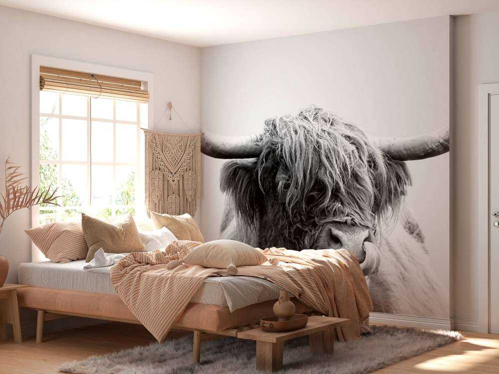 Divertente Highlander scozzese