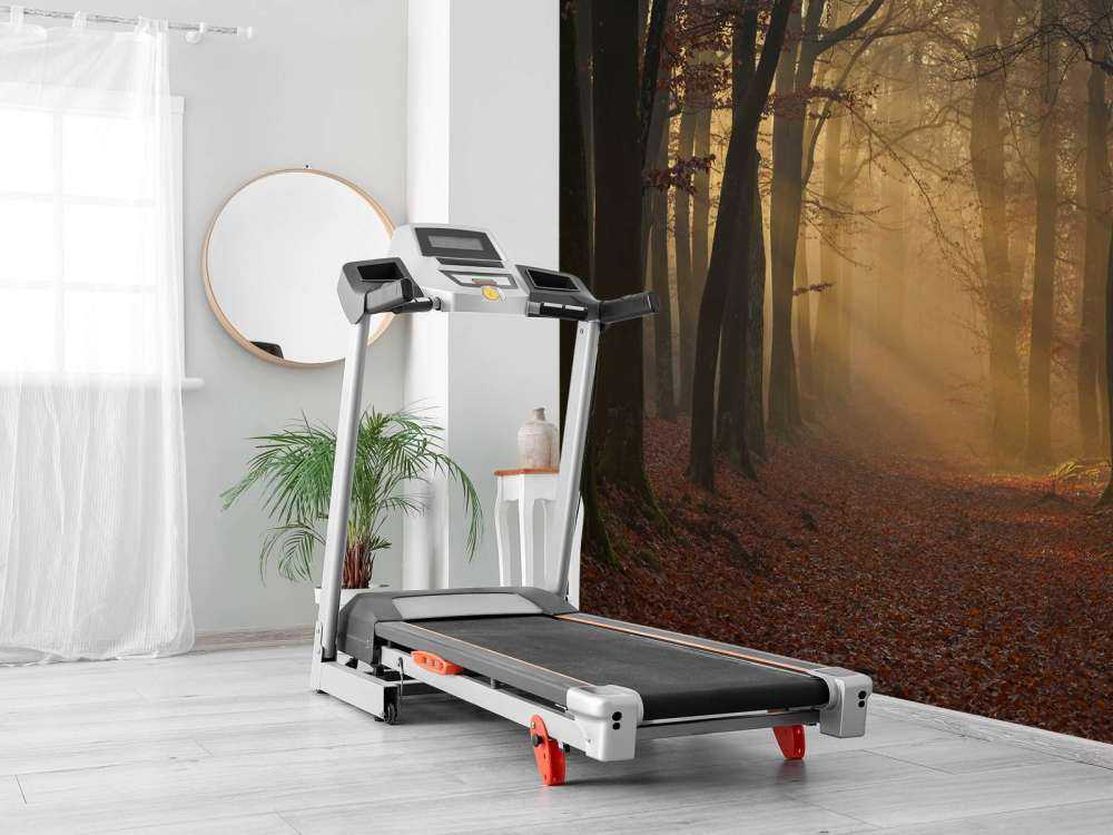 Misteriosa foresta d'autunno