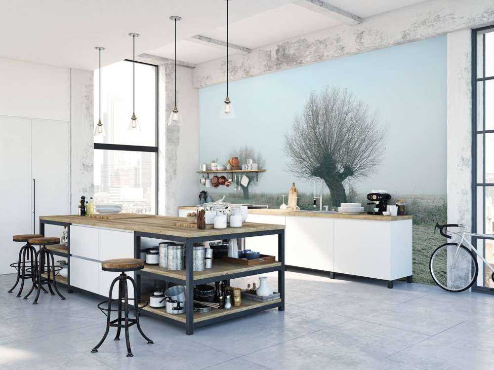 Salici di Pollard nella nebbia