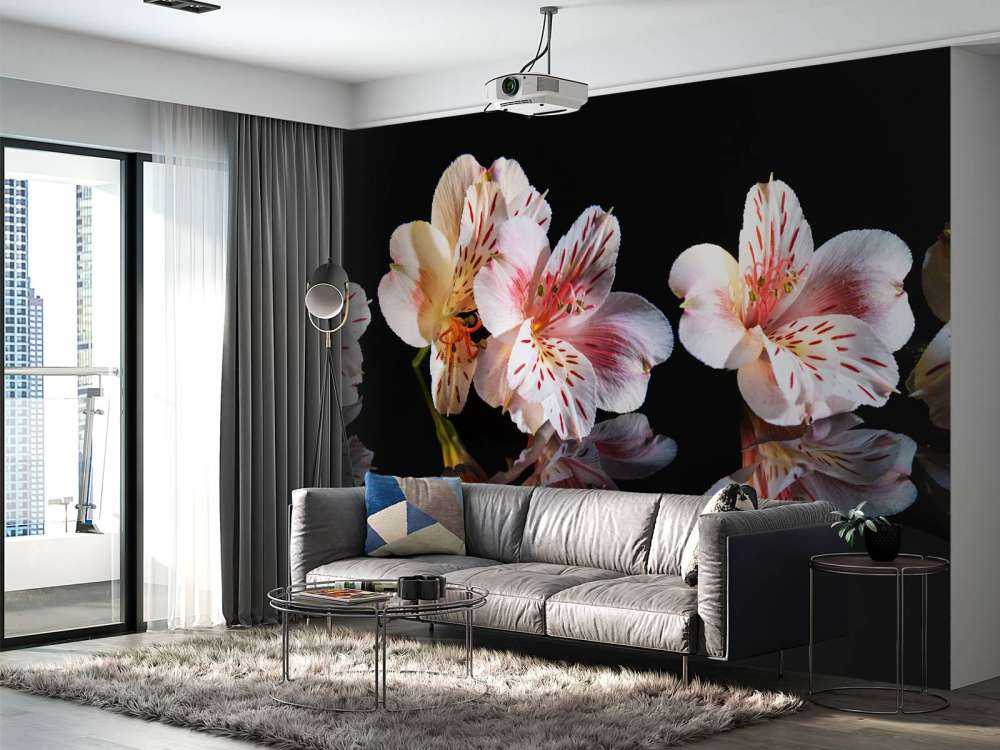 Alstroemeria fiori con riflessione