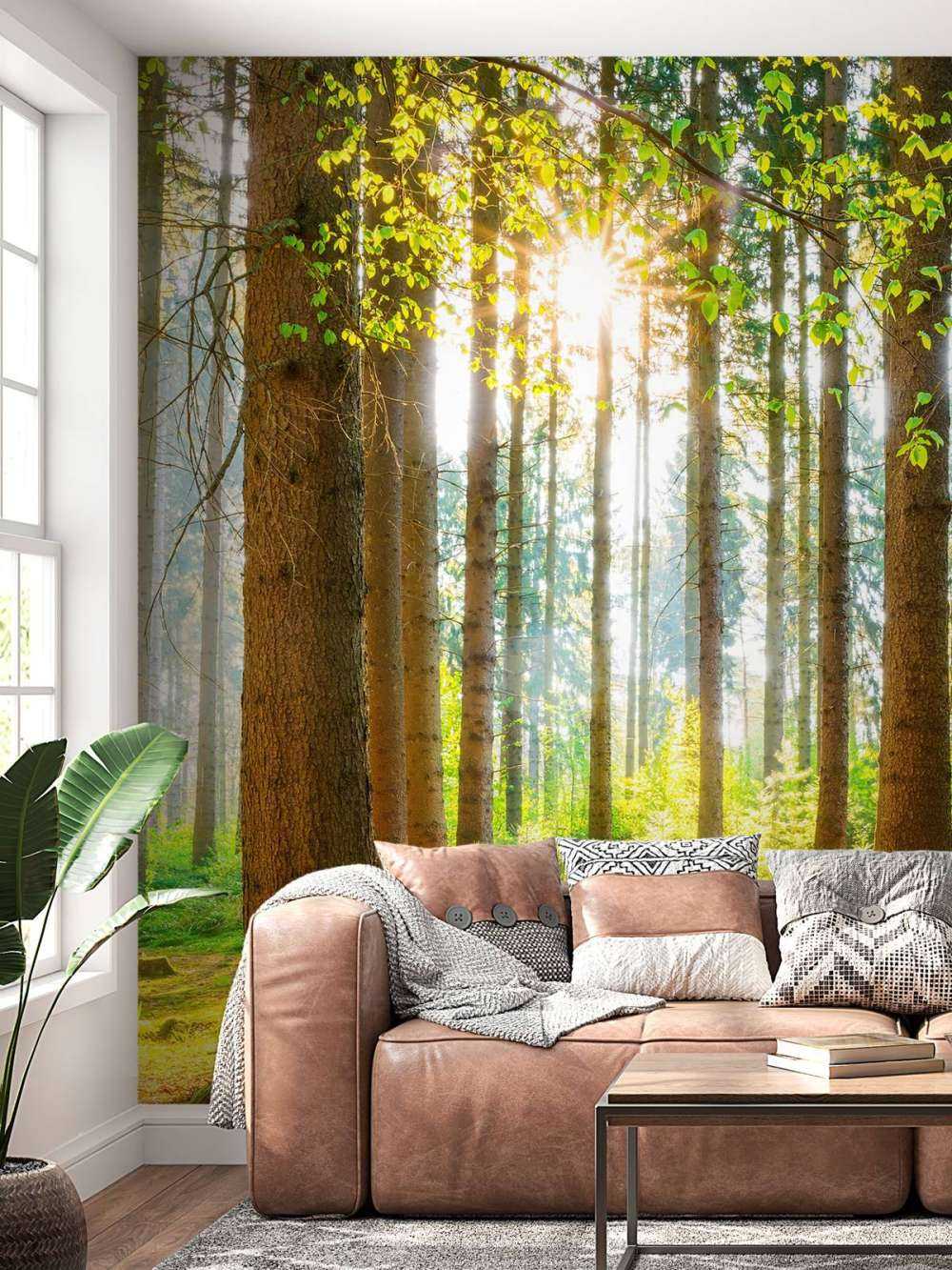 L'alba nella foresta
