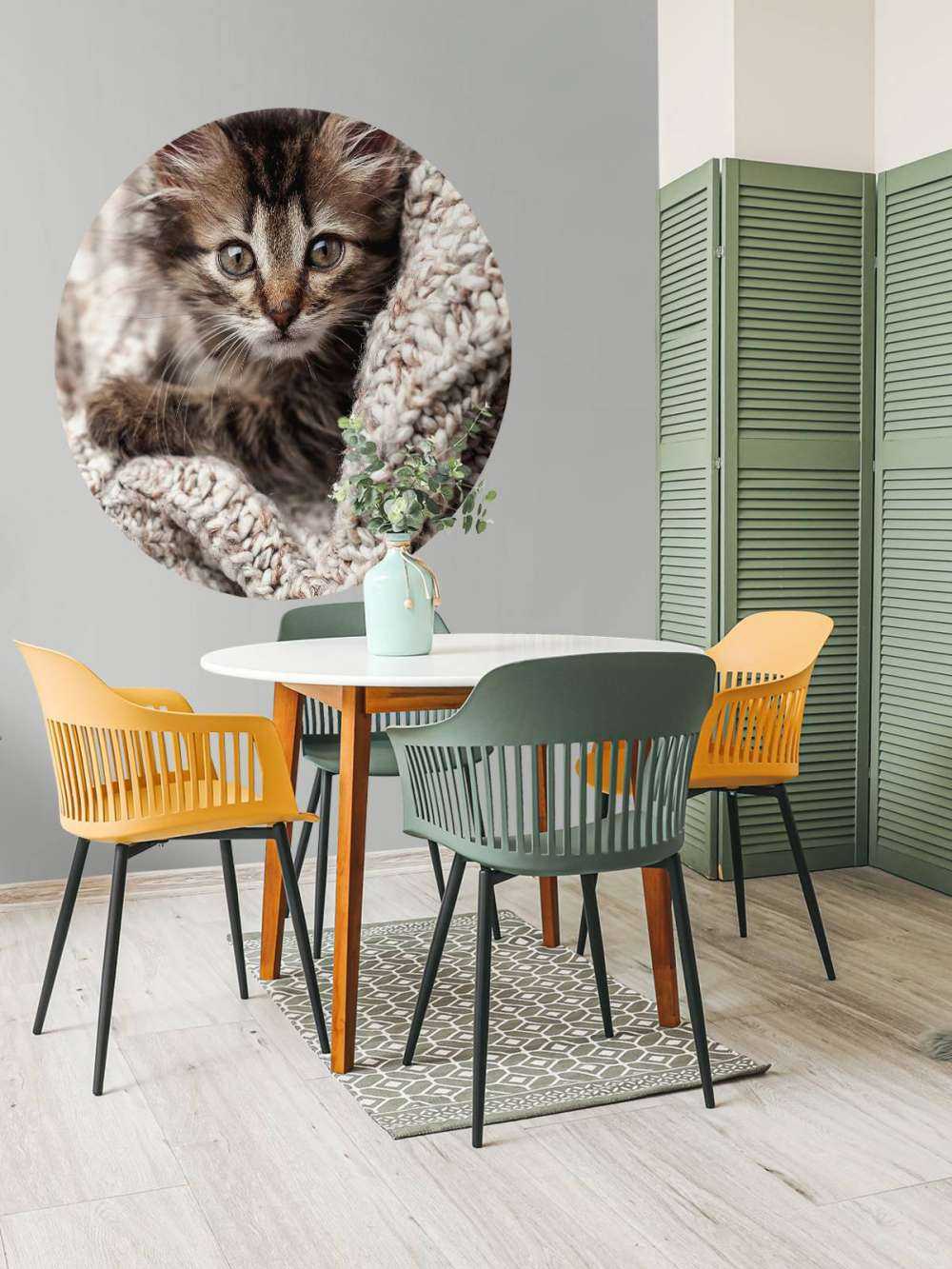 Gatto in una coperta