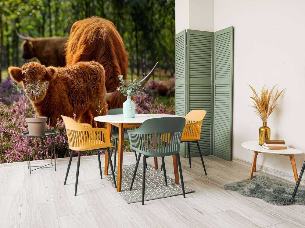 Famiglia Scozzese Highlanders