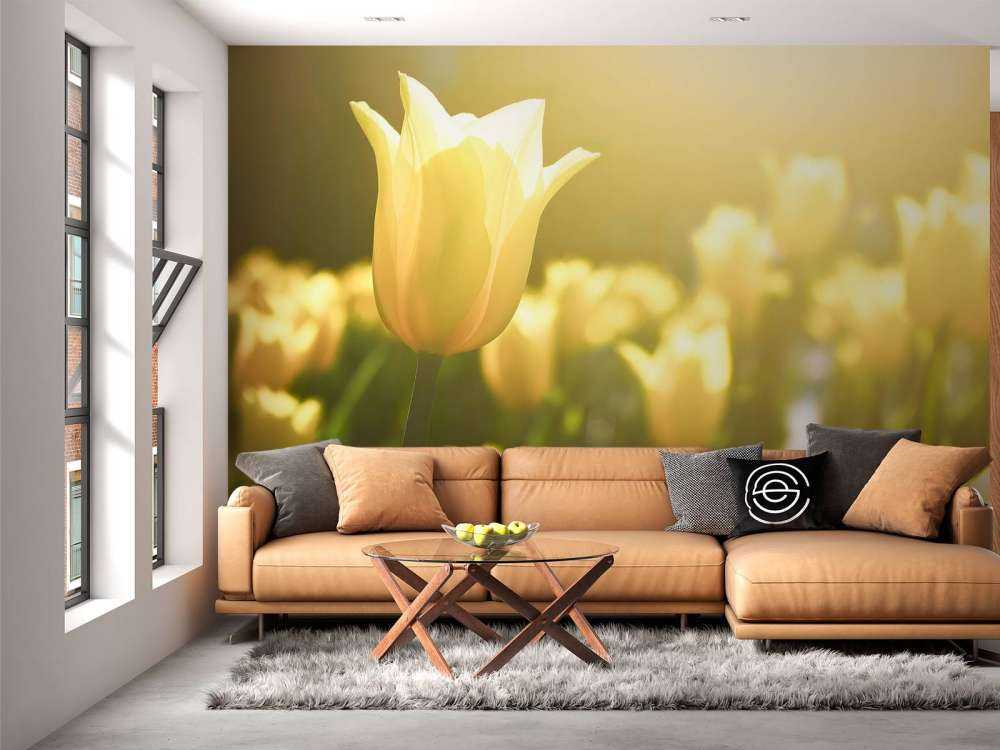 Tulipano giallo da vicino