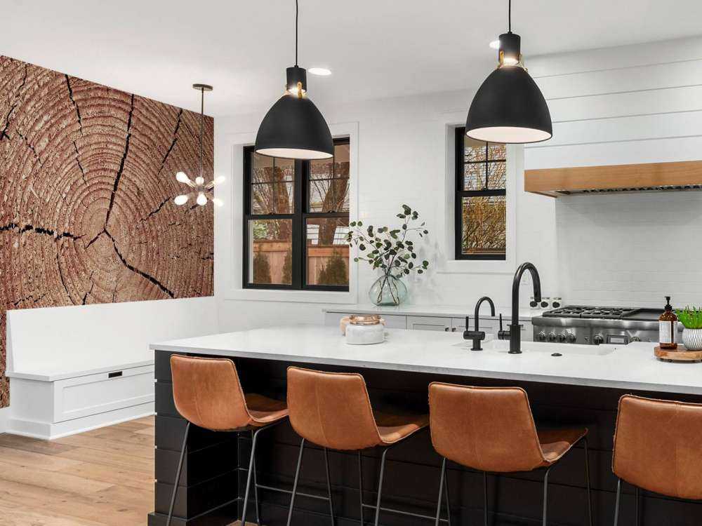 Tronco con anelli annuali