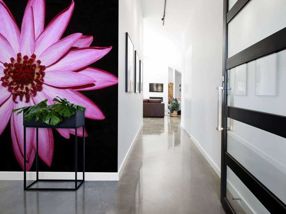 Fiore di loto dall'alto