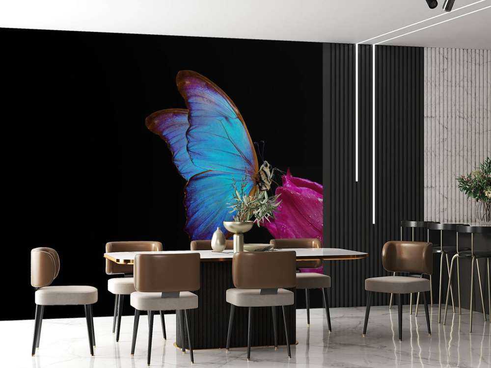 Farfalla su tulipano