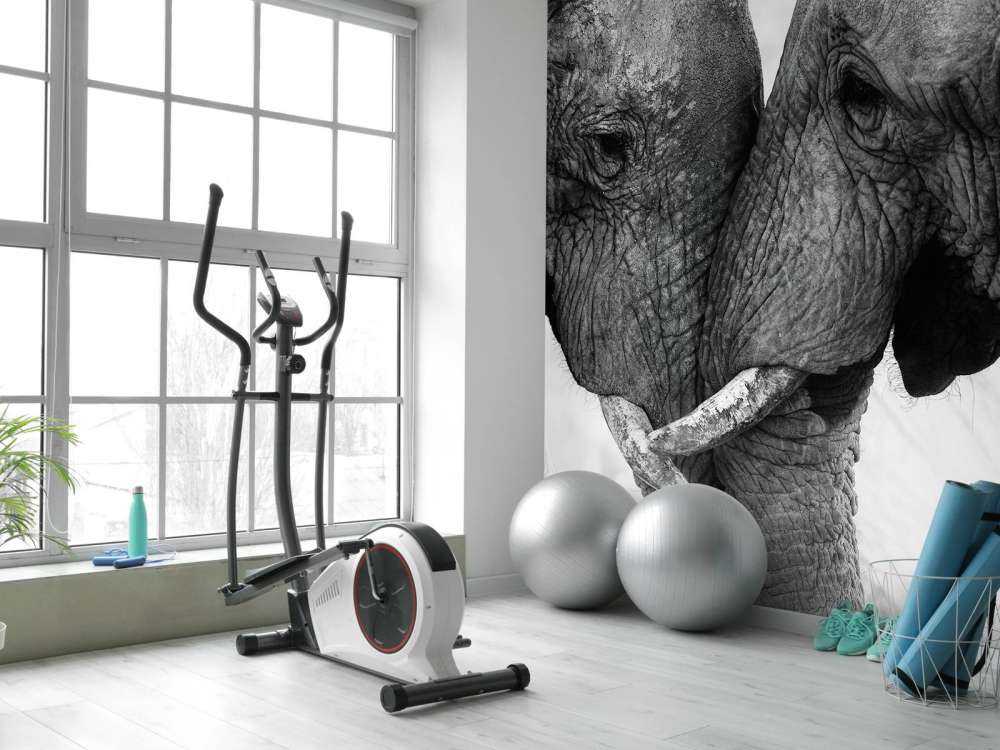 Foto carta da parati elefanti