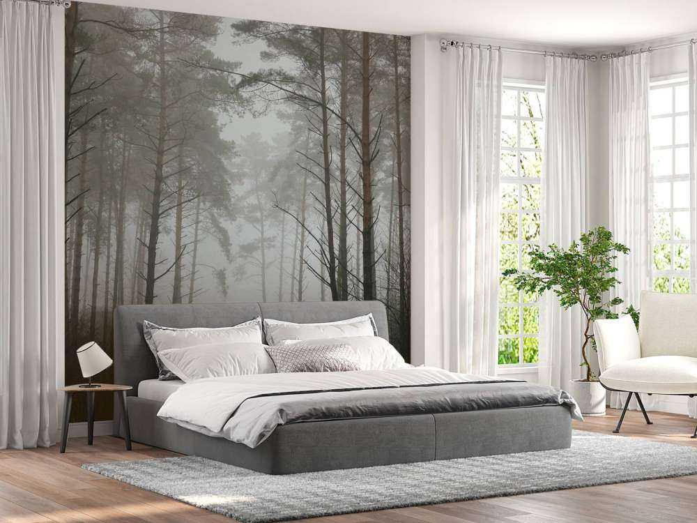 Sentiero nella foresta nebbiosa