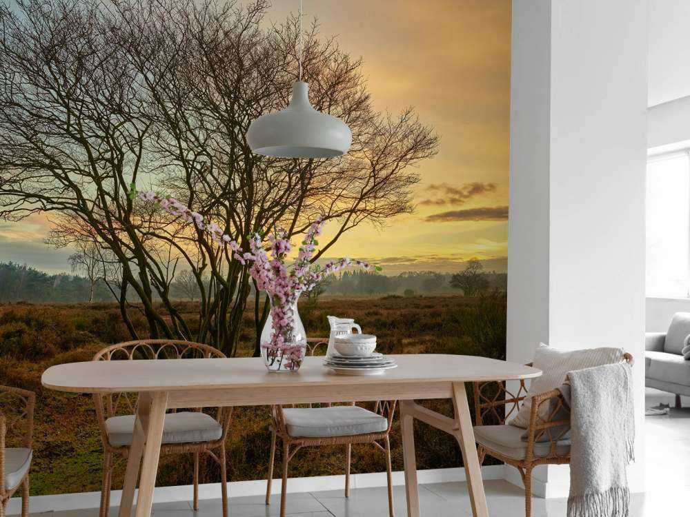 L'alba nella brughiera