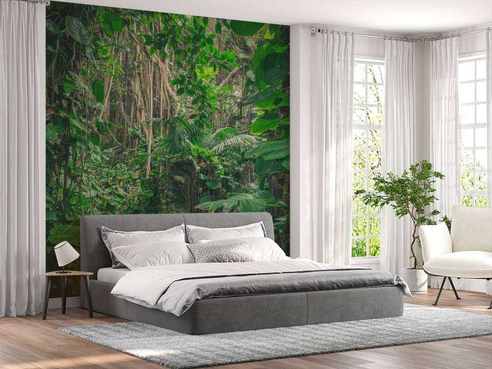 Rami nella foresta pluviale