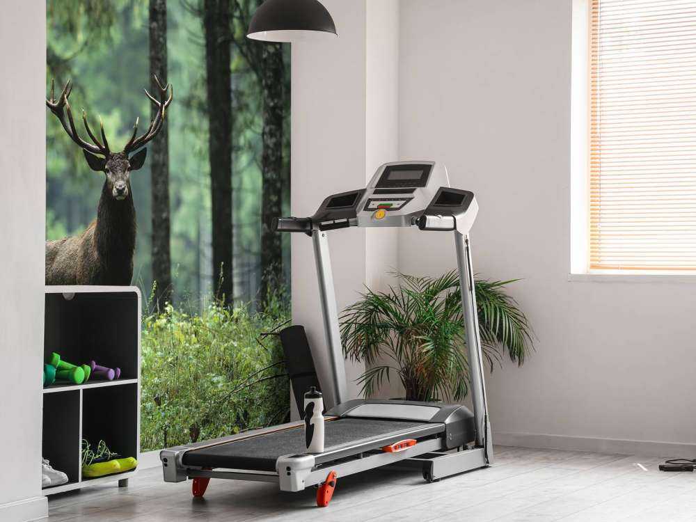 Grande cervo tra gli alberi