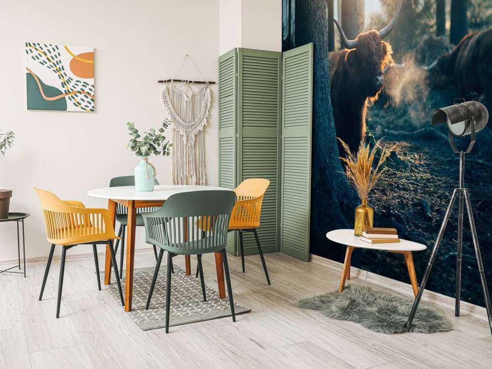 Highlander scozzese nella luce del mattino