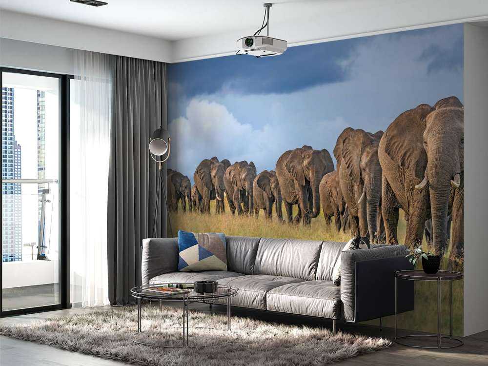 The Land Of The Giants