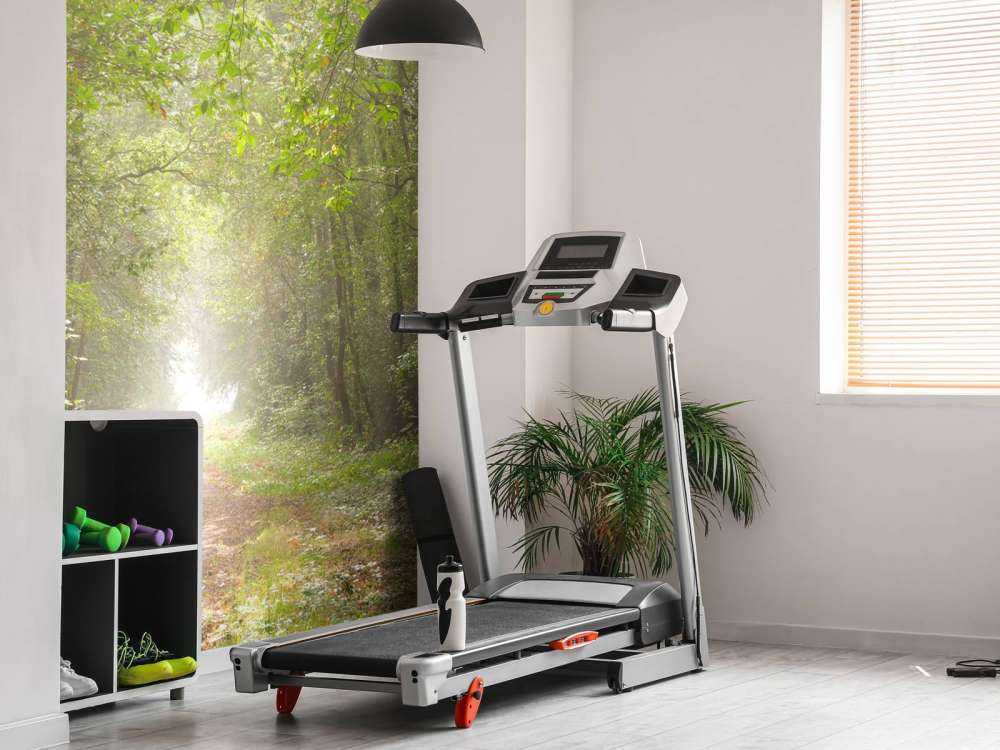 Sentiero attraverso la foresta nebbiosa