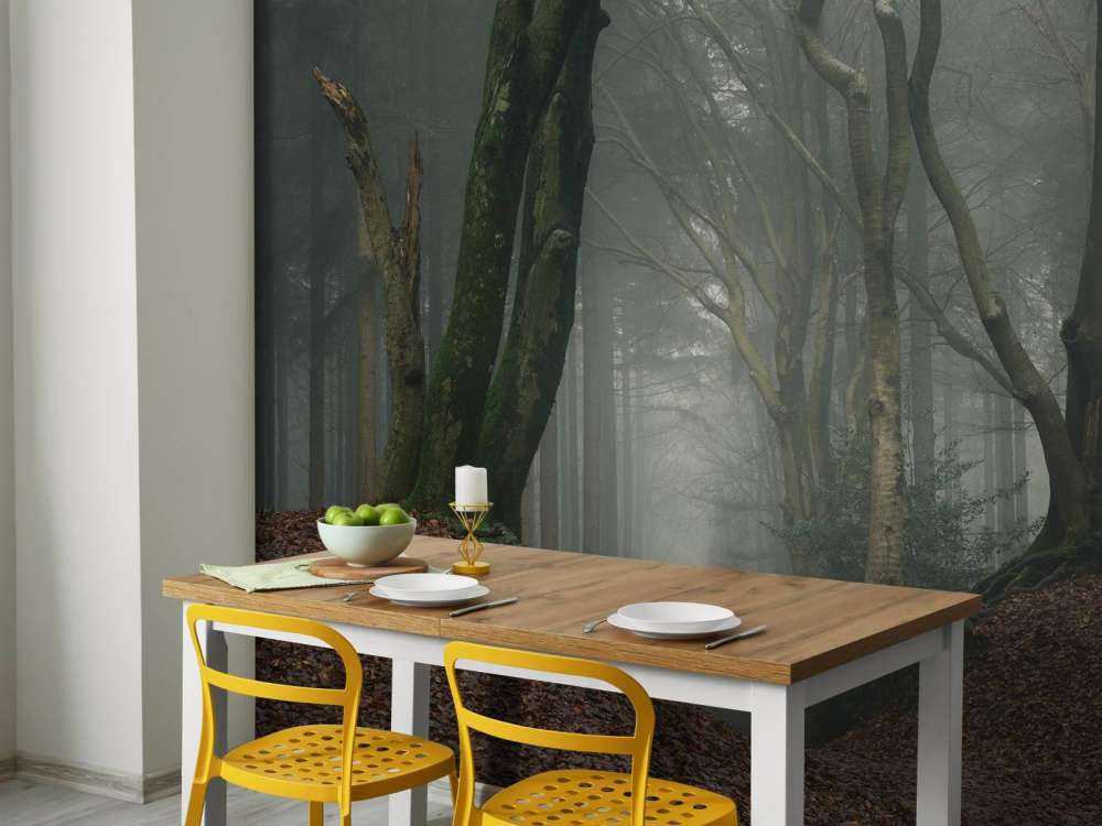 Sentiero attraverso la foresta misteriosa